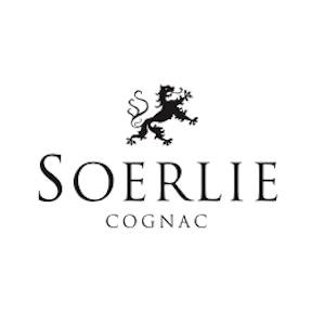 Rus erining videosi katta sikli Ginekolog kunnilingusni yalaydi va mushukni sikadi